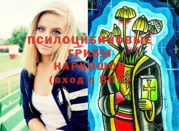 спайс Дегтярск