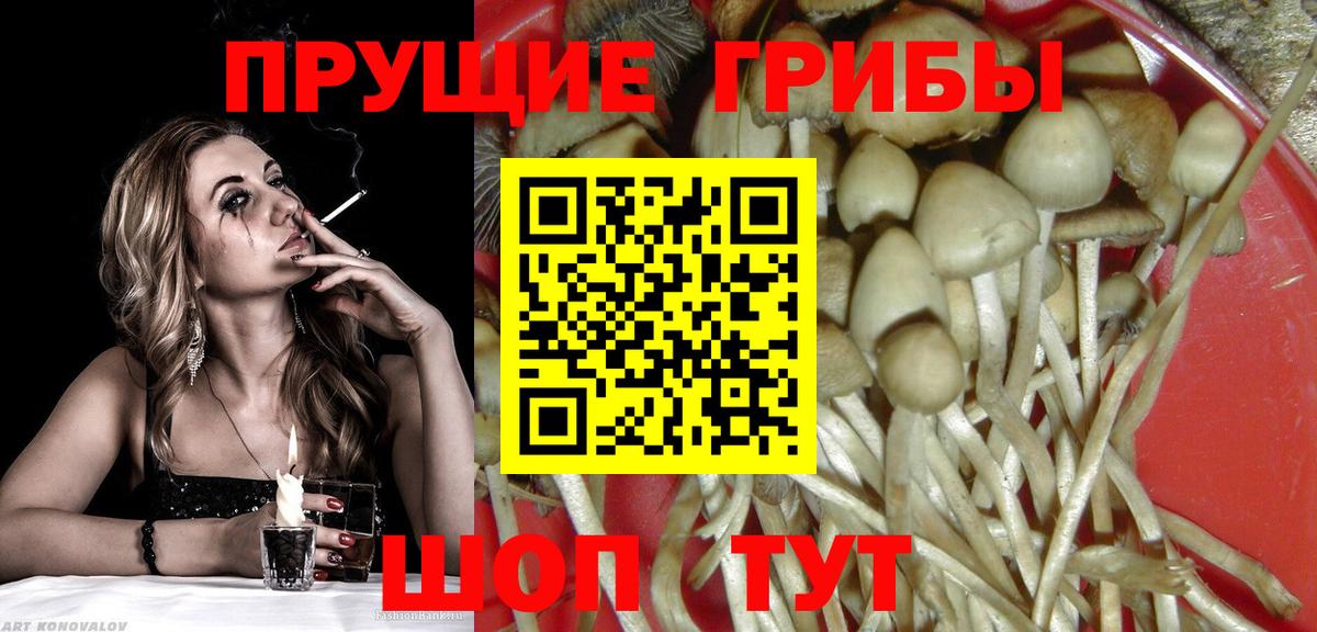 Зерноград  Псилоцибиновые грибы мухоморы  Псилоцибиновые грибы Magic Shrooms  Вход с VPN 