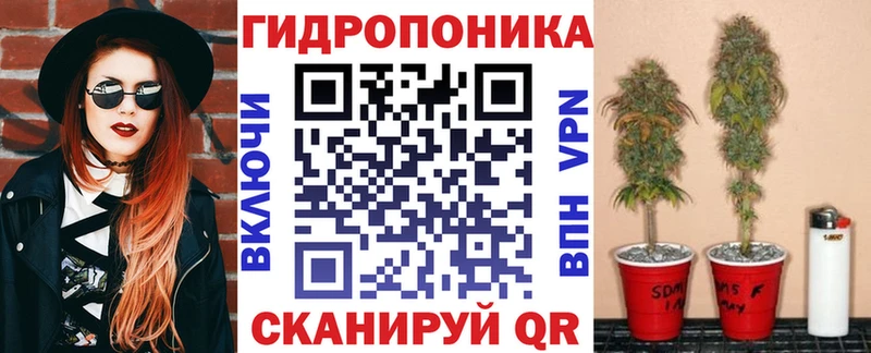 Бошки марихуана THC 21%  дарк нет наркотические препараты  Зерноград 